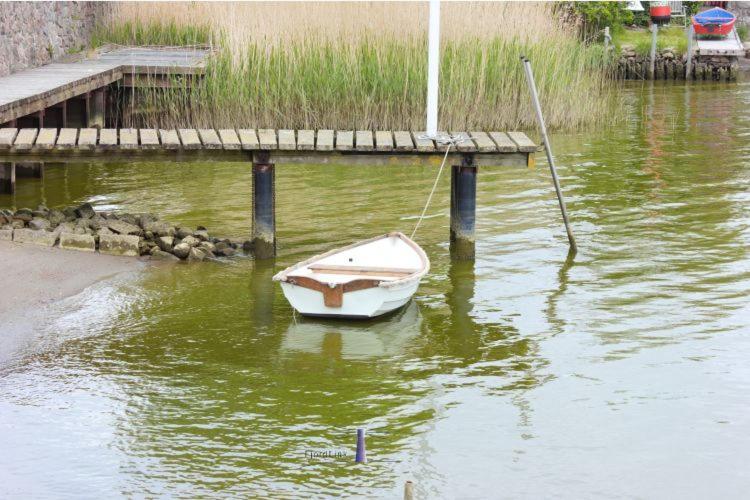 Hausboot Fjord Aries Mit Dachterrasse In Schleswig Hotel Ngoại thất bức ảnh